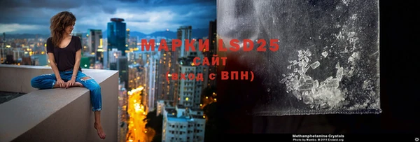 PSILOCYBIN Армянск