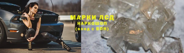 бошки Аркадак