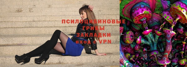 PSILOCYBIN Арсеньев