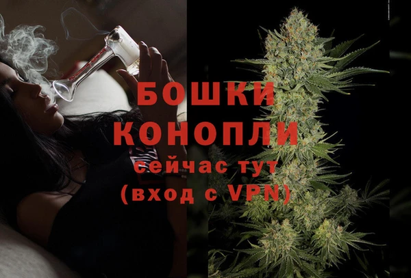 PSILOCYBIN Арсеньев