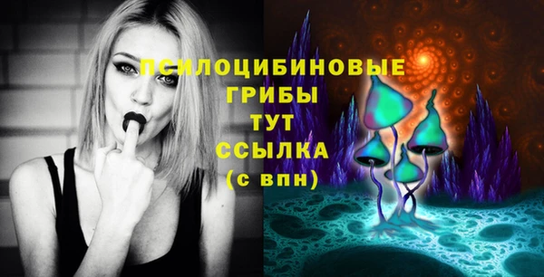 PSILOCYBIN Арсеньев