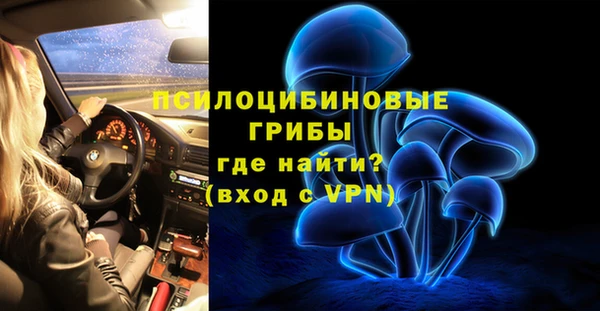 PSILOCYBIN Арсеньев