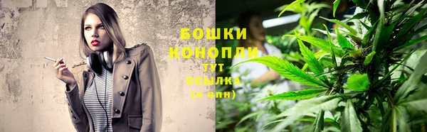 PSILOCYBIN Армянск