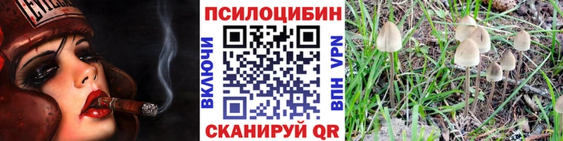 Галлюциногенные грибы мухоморы omg как войти Теберда